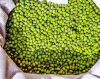 Whole Green Mung Beans