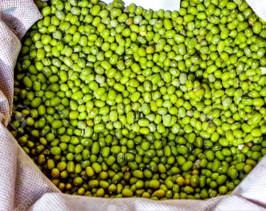 Whole Green Mung Beans