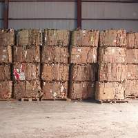 Waste Paper