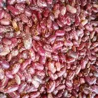 Spackle Kidney Beans