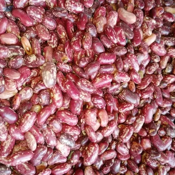 Spackle Kidney Beans
