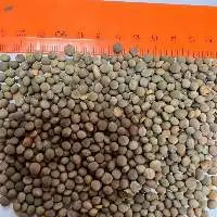 Whole Red Lentils