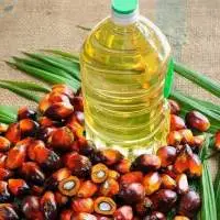 Refined Palm Oil And Unrefined Palm Oil