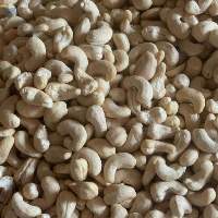 Premium & Standard Export Grade Cashew Nuts