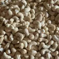 Premium & Standard Export Grade Cashew Nuts