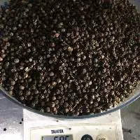 Black Pepper Whole