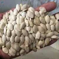 Whole Egusi Seeds (Melon Seeds)