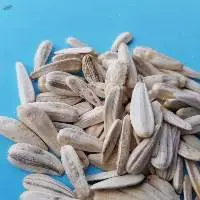 Sunflower Seeds