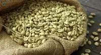 Non-Roasted Robusta Coffee