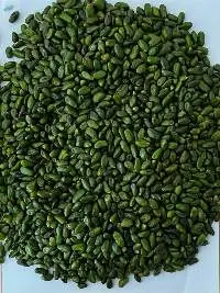 Pistachio kernels