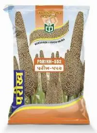 Hybrid Bajra (Pearl Millet)