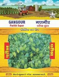 Research Gram seeds (chana)
