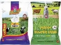 Fodder Seeds (Jowar and Bajra)