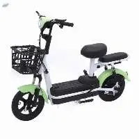 Two-Wheeled Electric Bicycles  
