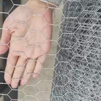 Galvanized Chicken Wire