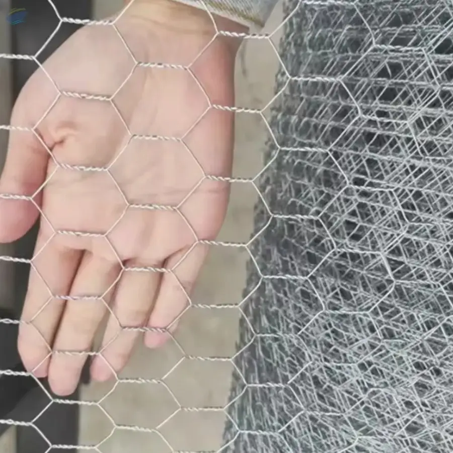 Galvanized Chicken Wire
