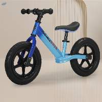 Balanced Toy for Children