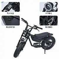 Off-road fat tire electric vehicle
