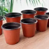 Nursery Seedlings Pots Seed Pots