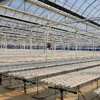 Soilless Farming Hydroponics Nft System