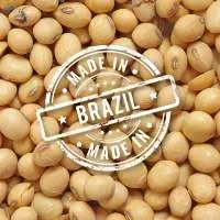 Soybean Brazil