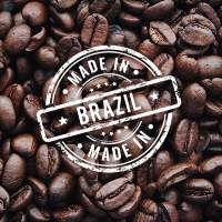 Coffee Bean Brazil