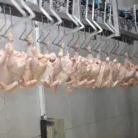 Assorted Poultry