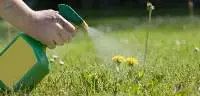 Herbicides