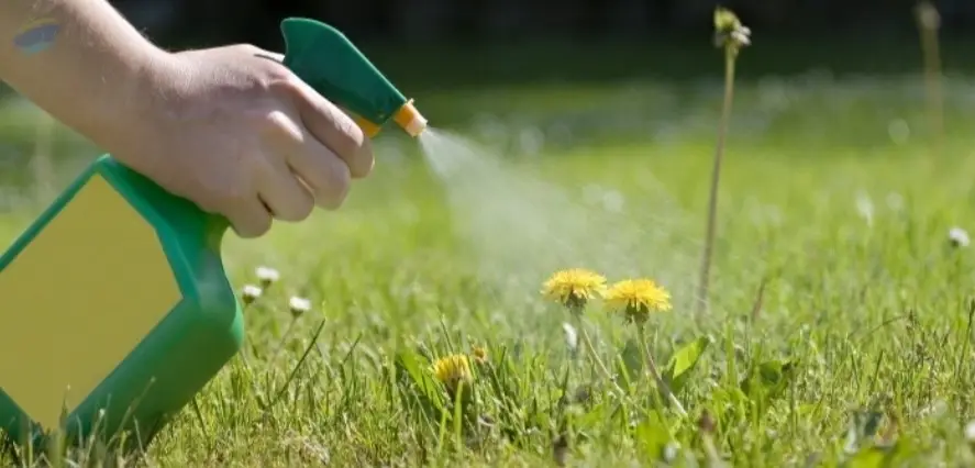 Herbicides