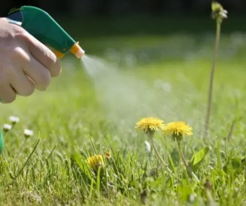 Fungicides
