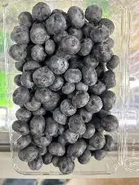 High Quality Fresh Blueberries