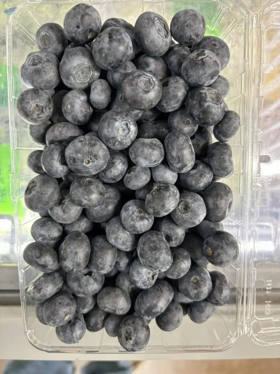 High Quality Fresh Blueberries
