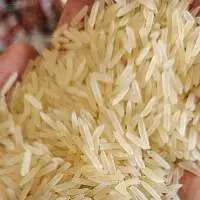 1509 Sella Rice
