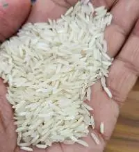 PR-11 Rice
