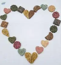Supplements For Dogs In Form Of Reward Snacks
