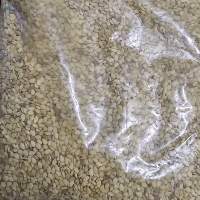 sesame seed