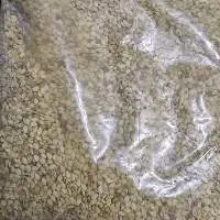 sesame seed