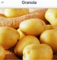 Fresh Potatoes Grade A (Export Quality)