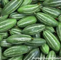 Fresh Vegetables