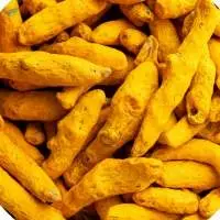 Turmeric Fingers And Powder