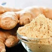 Ginger whole and Powder