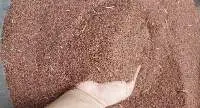 Touch Me Not plant (Indian name: Lajwanti seeds)