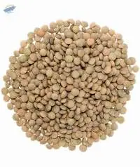 Lentils