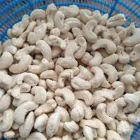 Cashew Nuts
