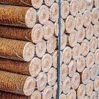 Wood Pallets