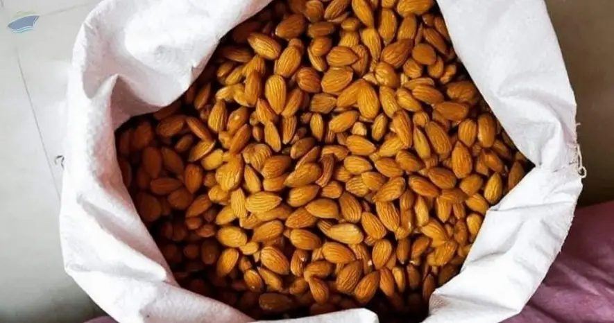 Almond Nuts
