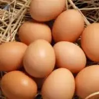 100% Organic Brown Shell Chicken Eggs