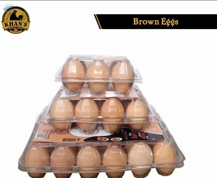 Organic Brown Table Eggs