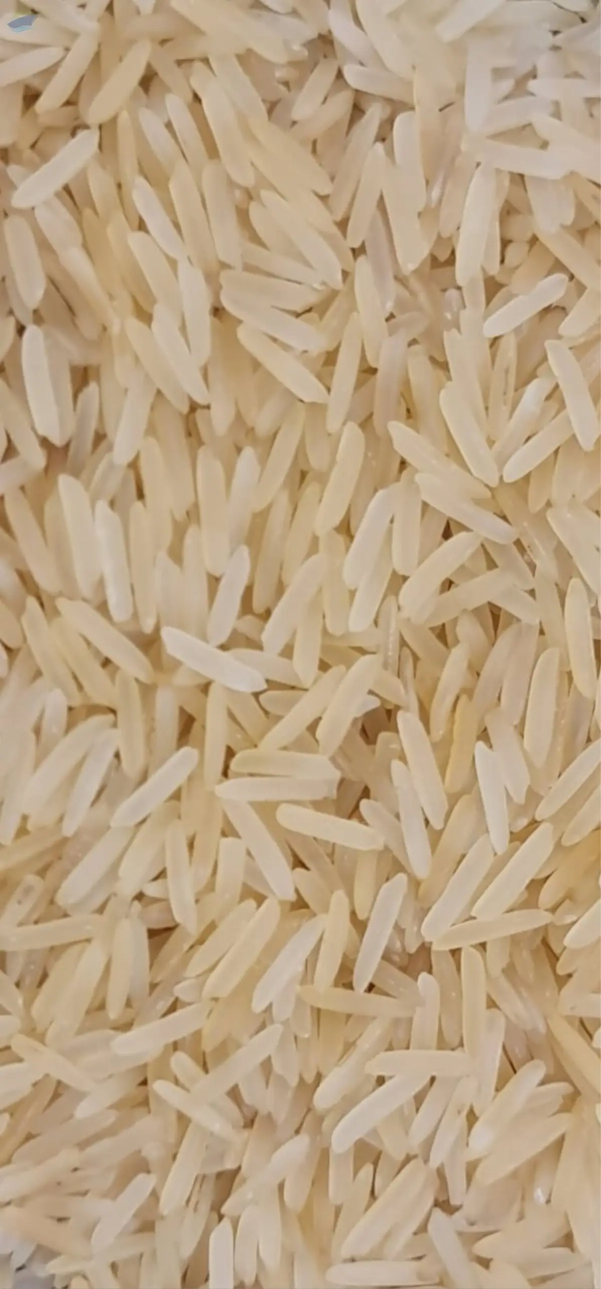 Basmati Rice 1121 Golden Sella