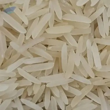 Basmati 1509 White Sella Rice